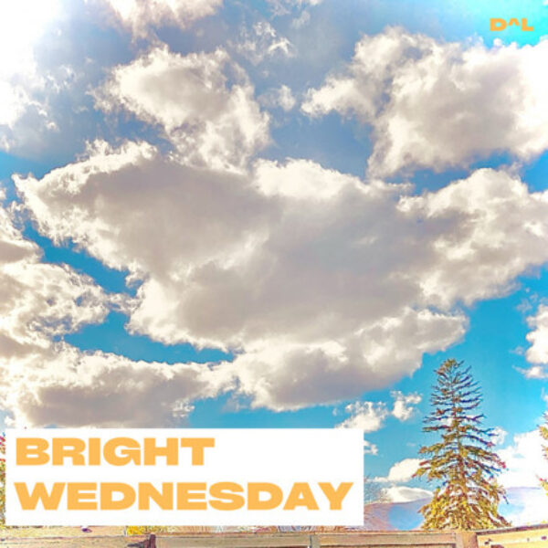 D^L - Bright Wednesday D^L - Bright Wednesday